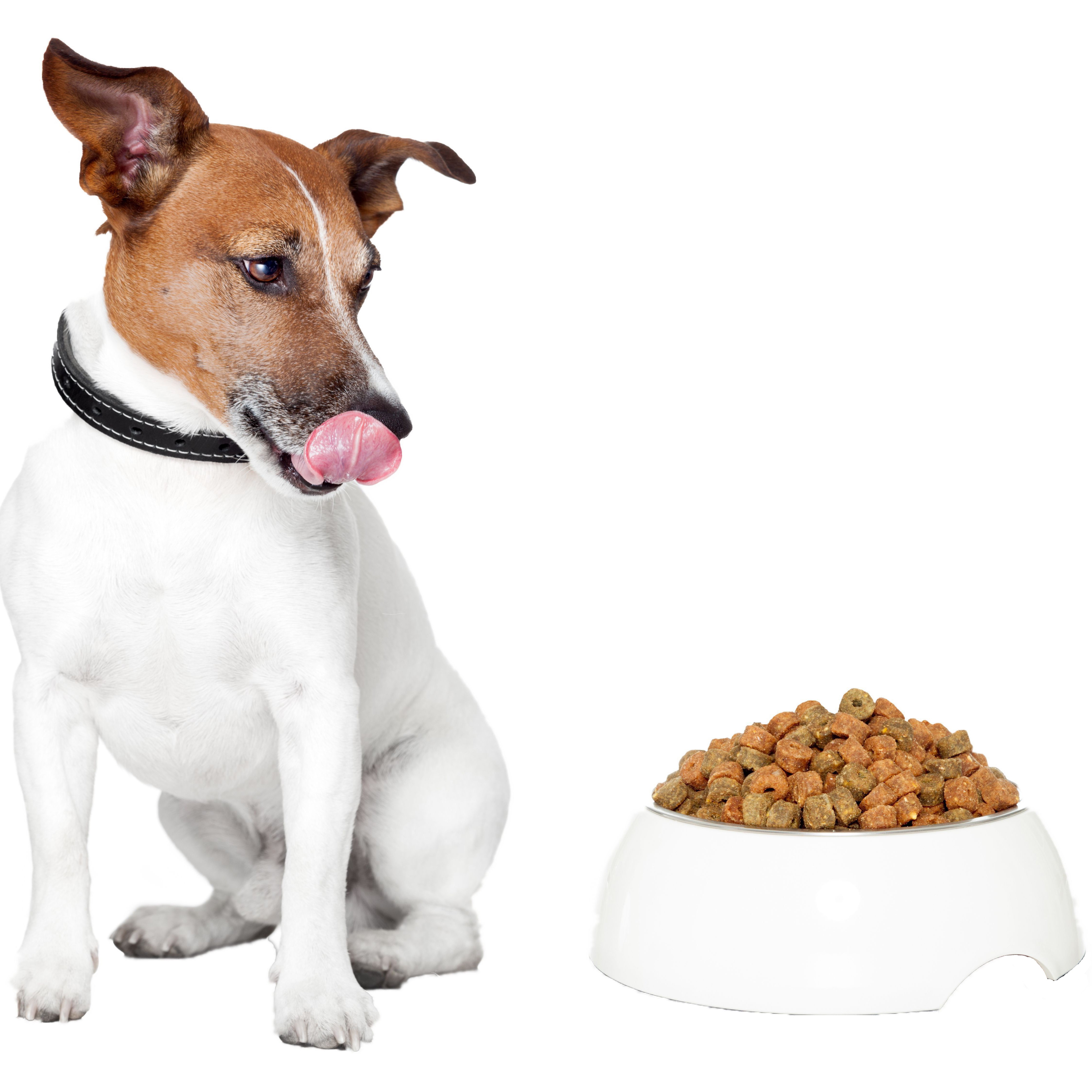 Snack-Artikel