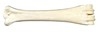 Naturknochen 180 g, wei - Calcium